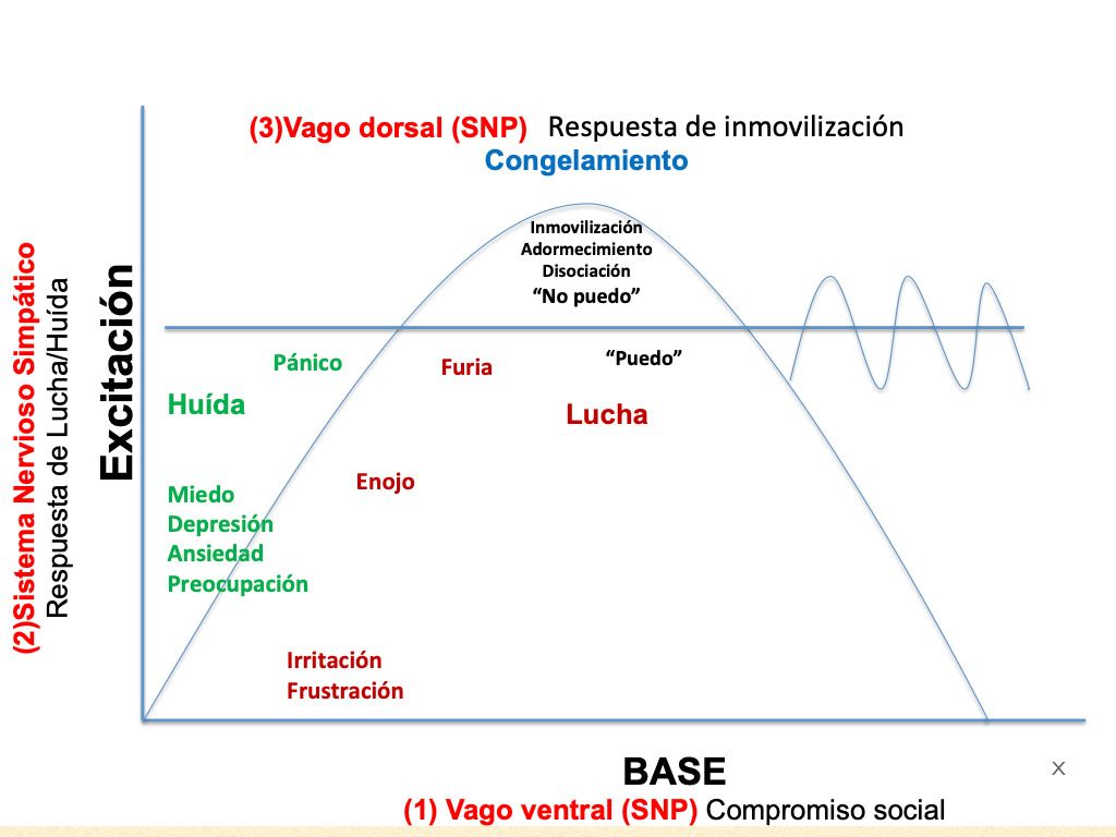 elena guerrero psicología emoción